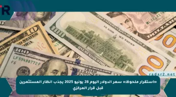 «استقرار ملحوظ» سعر الدولار اليوم 28 يونيو 2025 يجذب أنظار المستثمرين قبل قرار المركزي